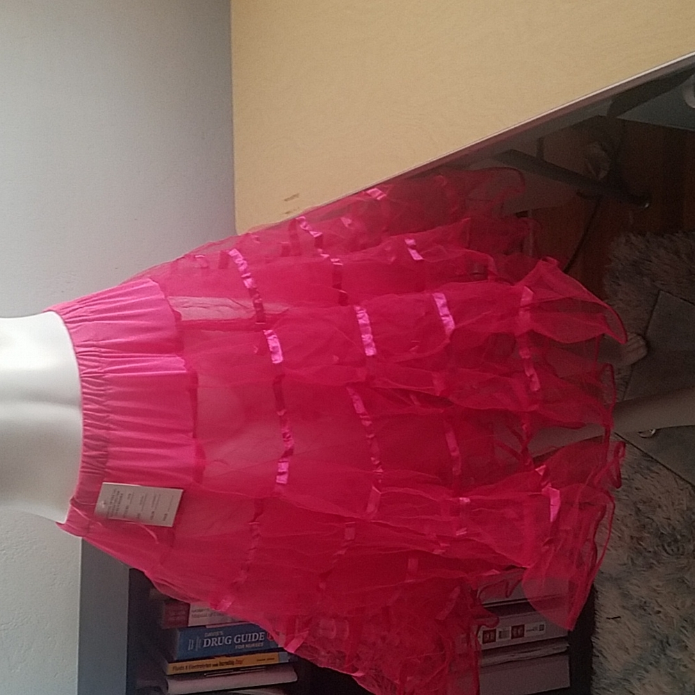 Unique Vintage Raspberry Crinoline M